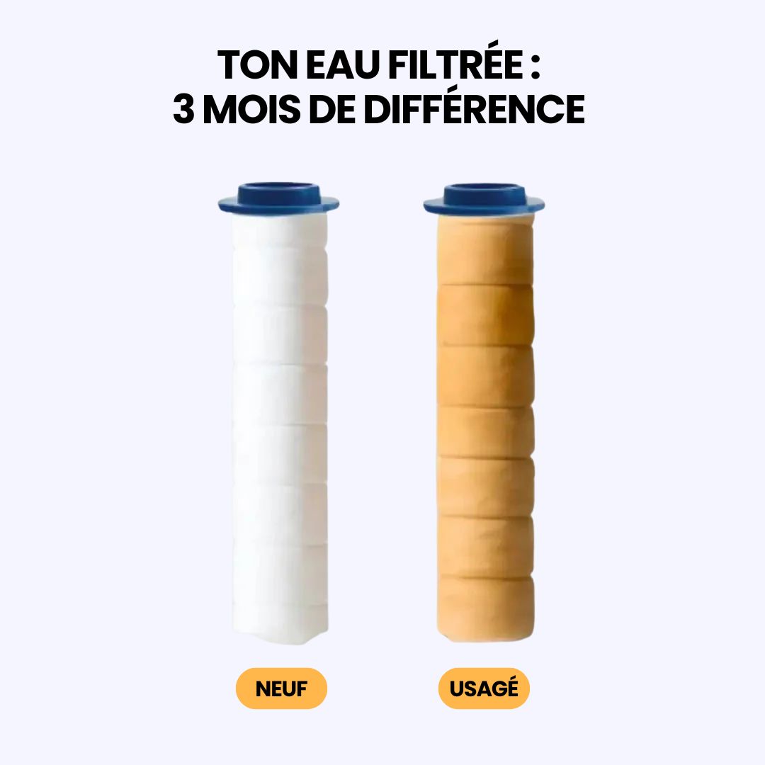 Pommeau de douche filtrant