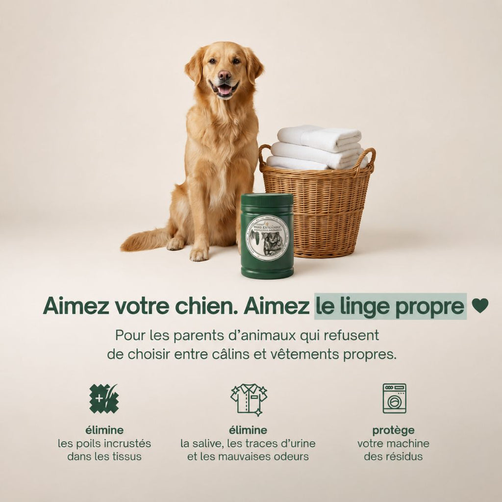 La première lessive en poudre qui dissout les poils d'animaux