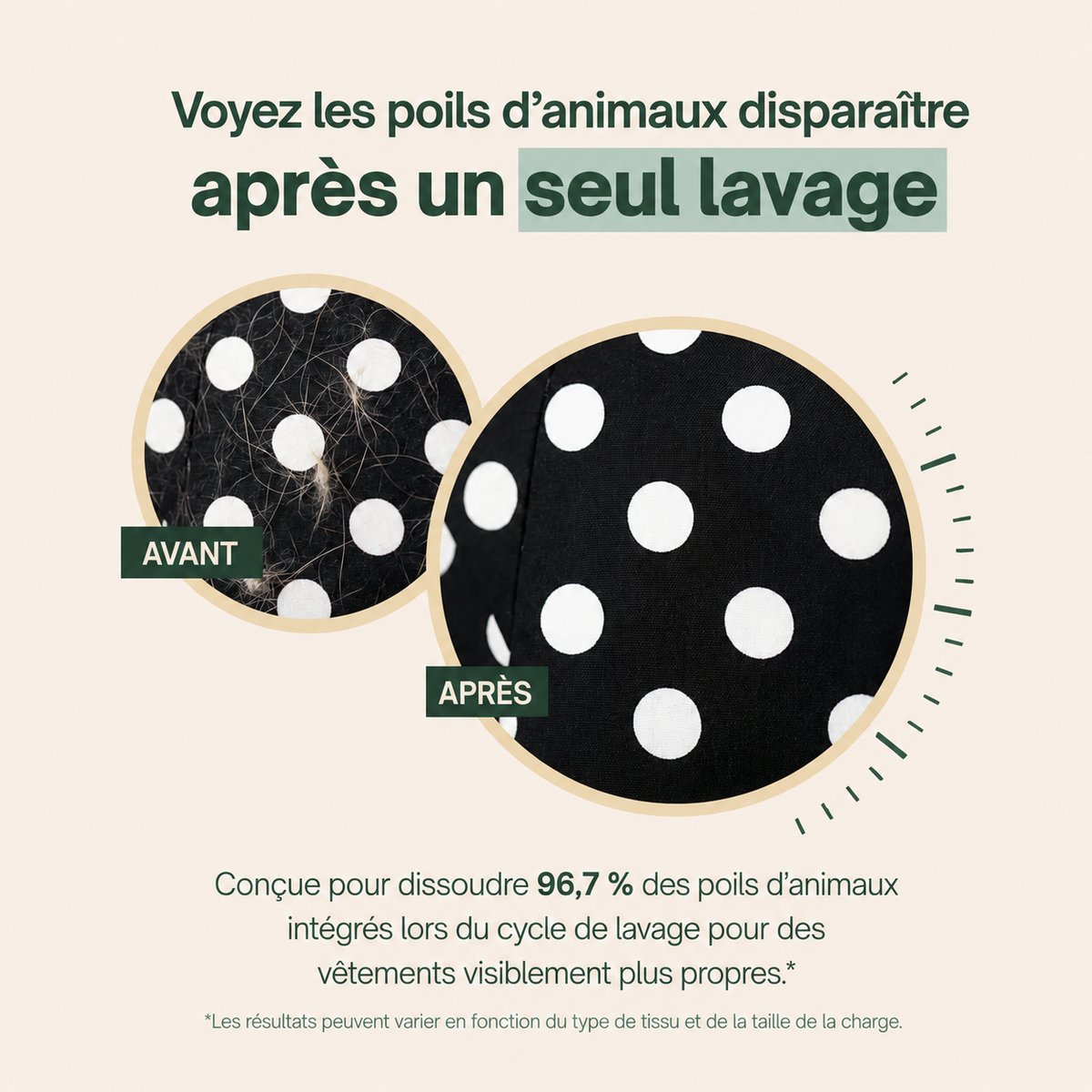 La première lessive en poudre qui dissout les poils d'animaux