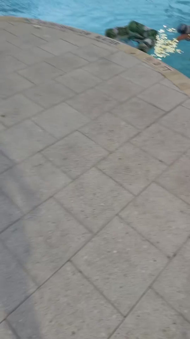 Vidéo